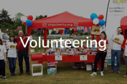related_content_volunteering related_content_volunteering