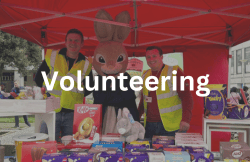 related-volunteering related-volunteering